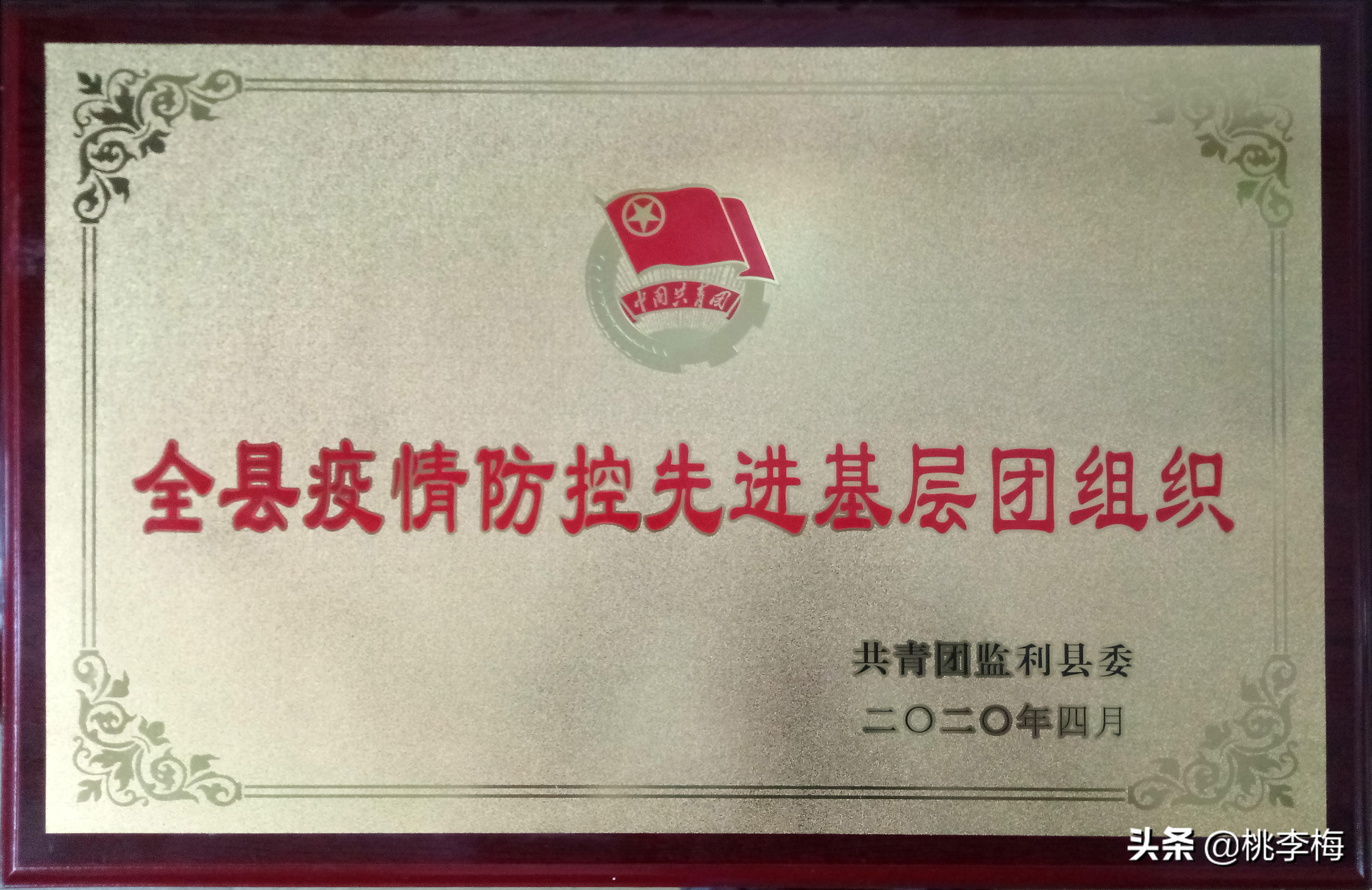 三年勤耕读一朝传捷报——红城中学中考喜报