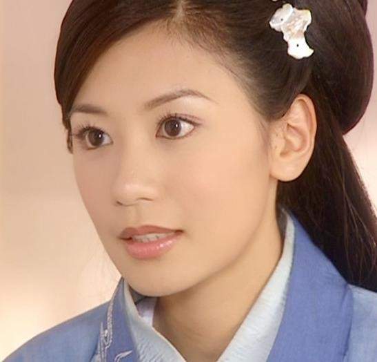 刘德华评价贾静雯视频,刘德华评价贾静雯康熙来了