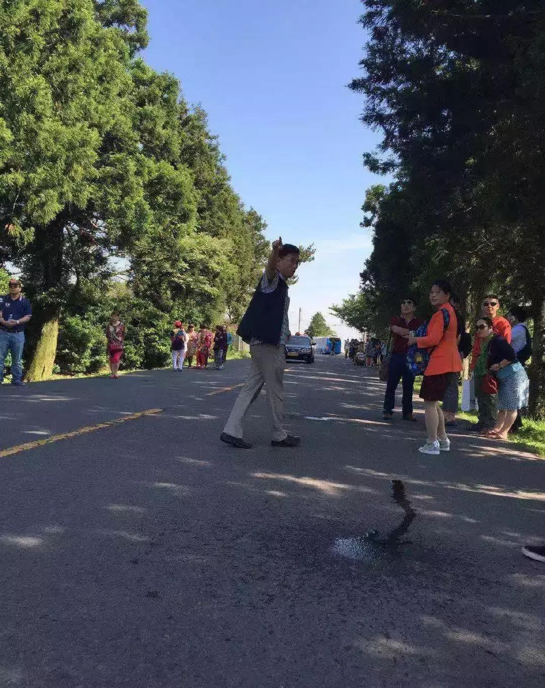 济州岛自由行详细攻略,济州岛自由行超实用攻略