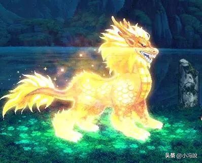 dnf宠物最可爱,dnf最给力宠物