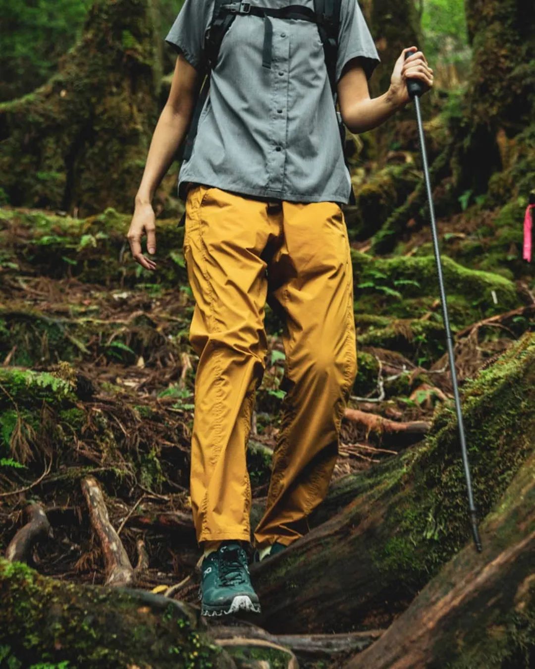 pick好物推荐,pick好物推荐学生党