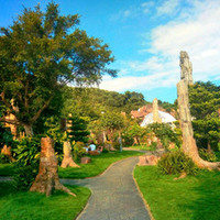 深圳史上最大最美的花展来啦,走进深圳仙湖植物园的国际花展