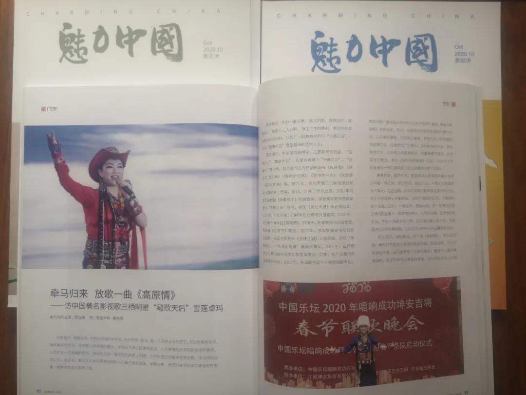 魅力中国中外歌唱家演唱会,魅力中国央视主持人