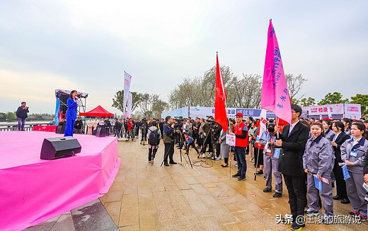 温州龙湾樱花,温州看樱花的地方