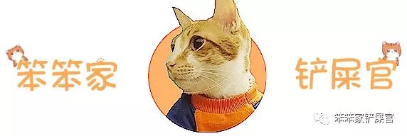 猫咪喜欢吃垃圾吃纸巾,猫咪异食癖撕咬纸箱