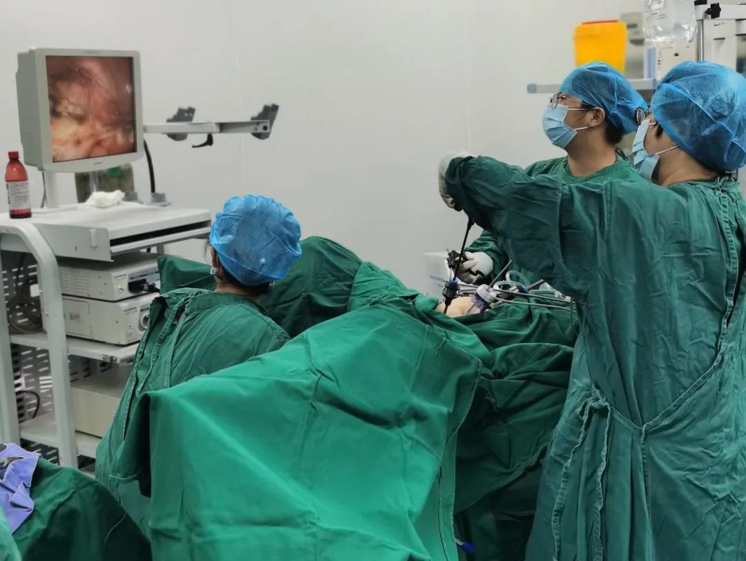 江西分宜县中医院重点学科妇产科用天使之手呵护“女人花”