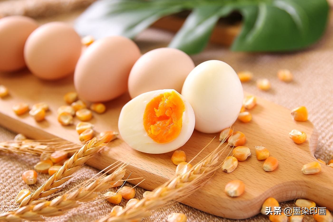 发现身边的旋律,发现身边自然之美