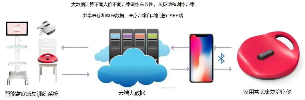行研｜难言之隐？女性需要知道的盆底肌康复知识