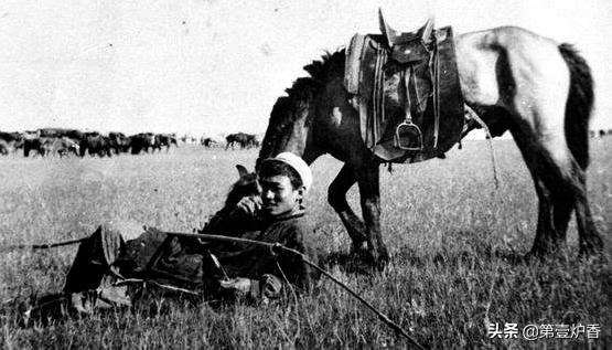 张承志采访黑骏马视频,张承志的黑骏马朗读