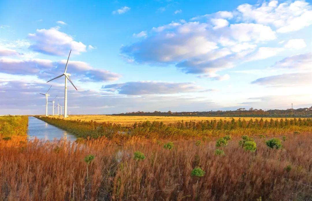 世界上90%的疾病都和情绪有关，不想生病的人一定要看看！
