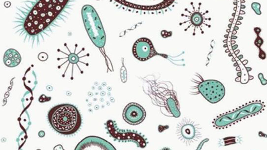 如何治疗猫癣,该如何治疗猫癣