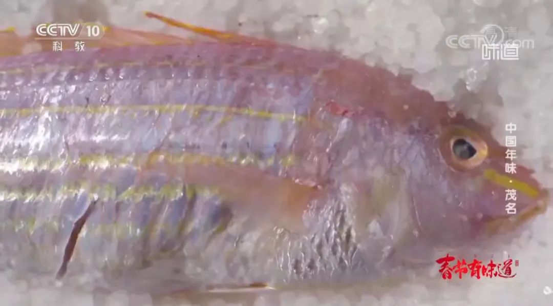 霸屏央视55分钟,霸屏30秒央视