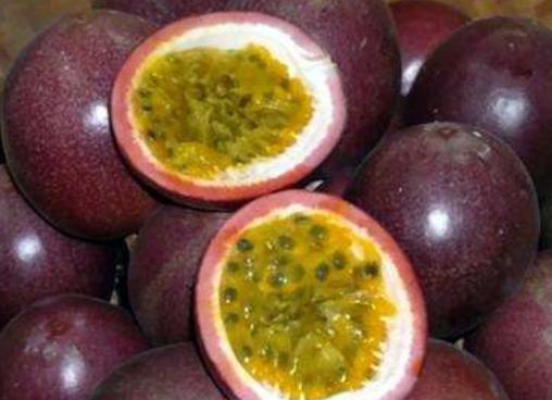 老百香果怎么防霜冻,果农百香果怎么储存