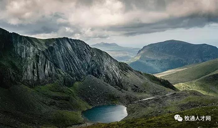 一个养猪人的抗疫经历,一个养猪人的非瘟感受