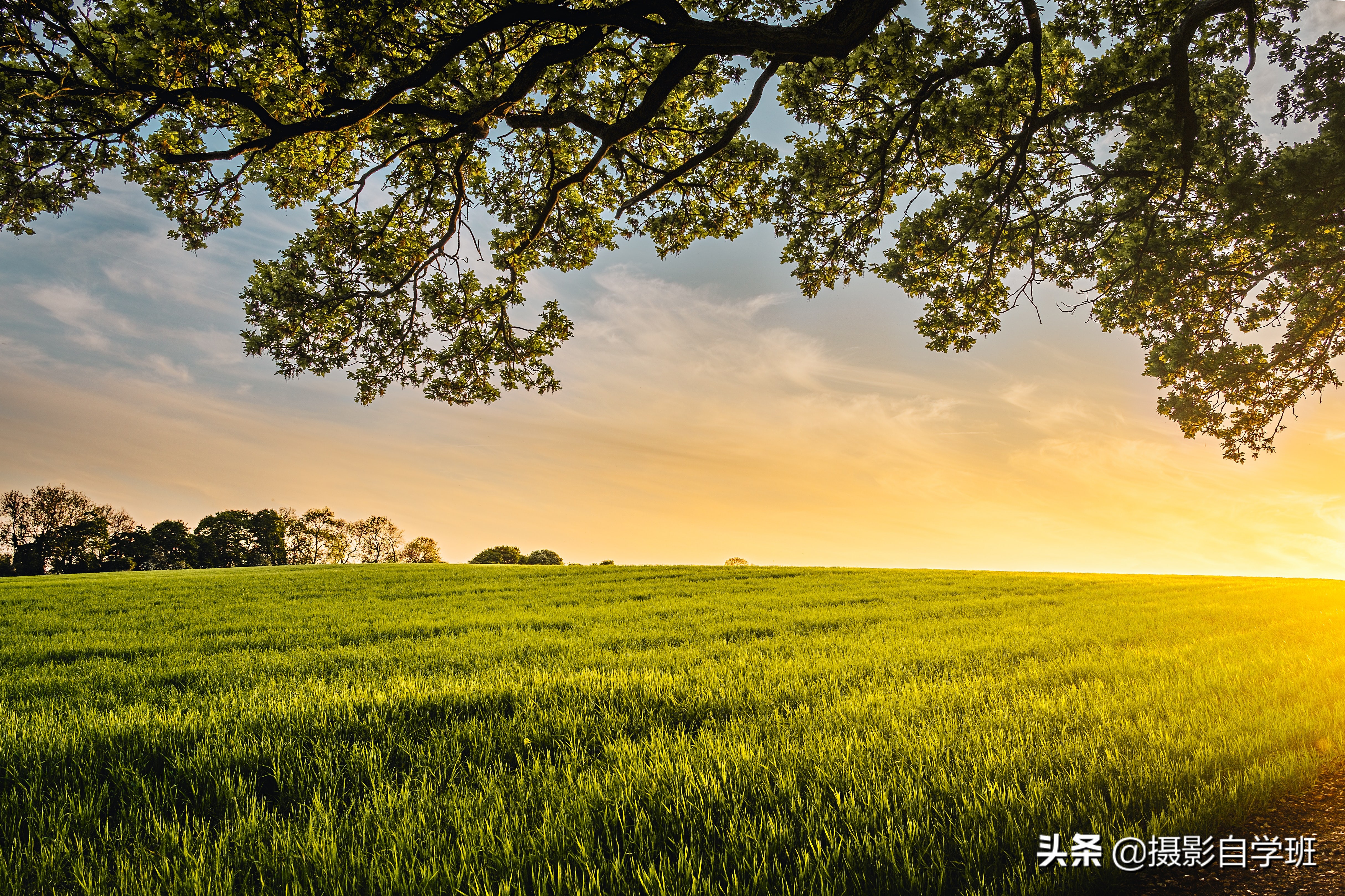 iphone相机界面讲解,苹果手机拍照使用技巧教程