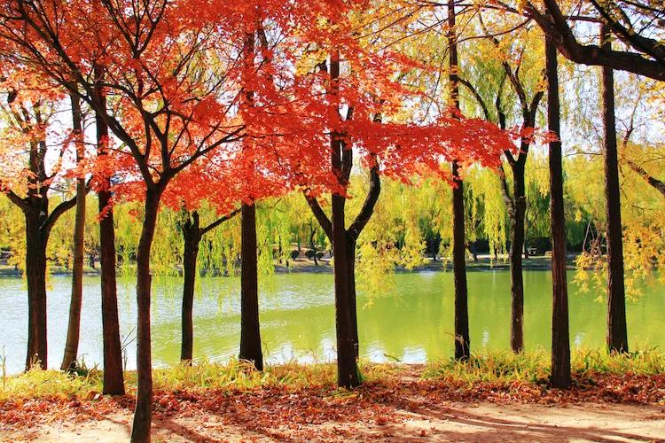 单反快速入门索尼,单反自动挡是哪个