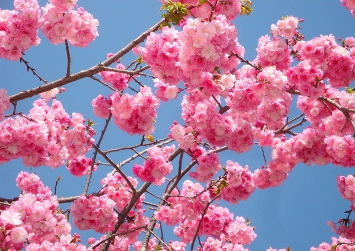 儿童行业内幕大揭秘,揭露儿童玩具行业内幕