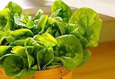 叶酸应该在怀孕前多久开始补充好,怀孕之后才开始补充叶酸要不要紧