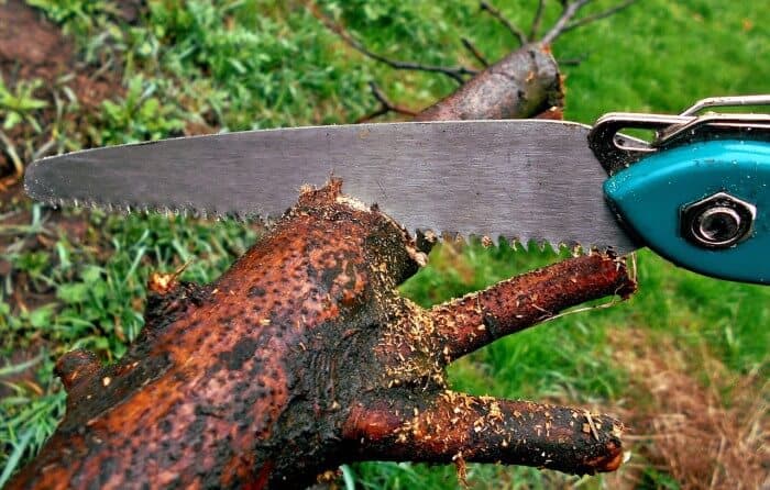 野外生存十大工具,野外生存十大必备装备