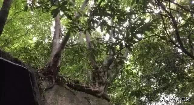 新县毛铺：奇险峻秀黑河谷