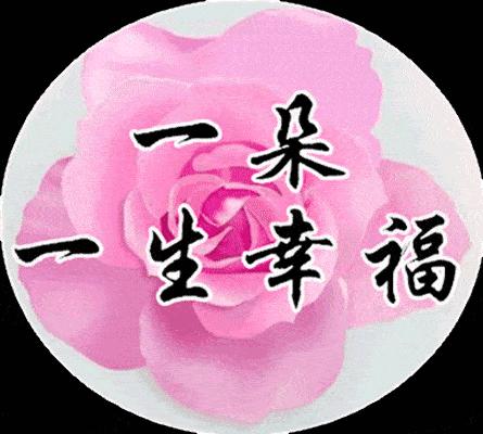 给自己说早安的表情包,早安暖心话表情包