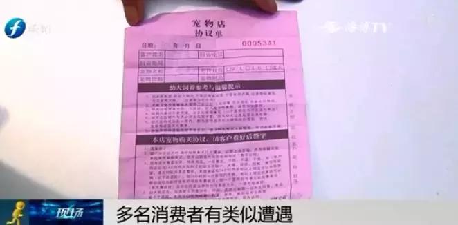 宠物狗买回来过几天病死怎么维权,厦门宠物店