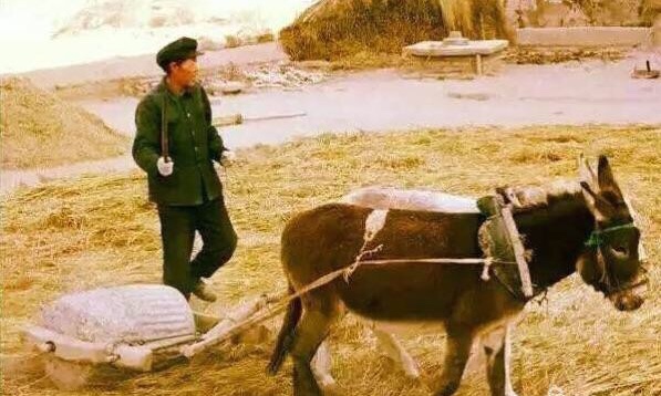 天下第一黄土高原,天下第一黄土高原是哪里