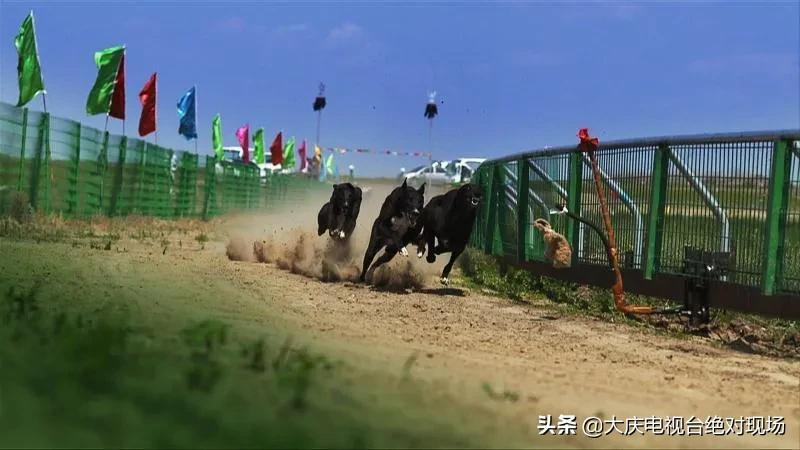 阿木塔17个网红创业项目等你来拿！