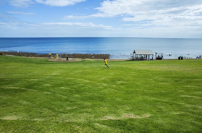 绿化草坪种植方法视频大全,绿化草坪的种植方法