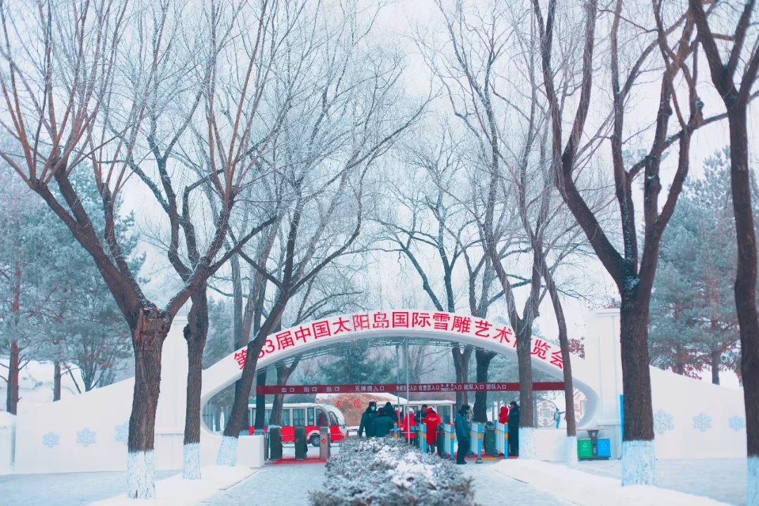 哈尔滨特色烧烤排行榜前十,哈尔滨必吃的10家烧烤