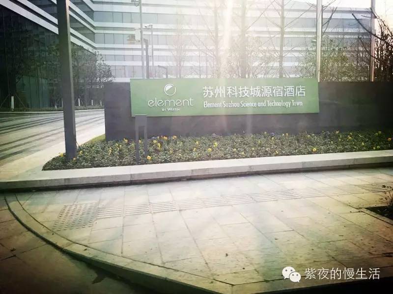 苏州带宠物去的古镇,苏州小众宠物乐园推荐