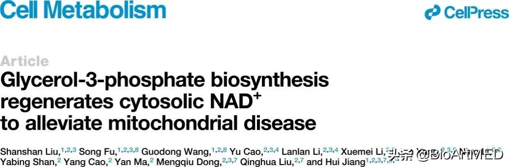 线粒体最新临床进展,线粒体最新治疗进展