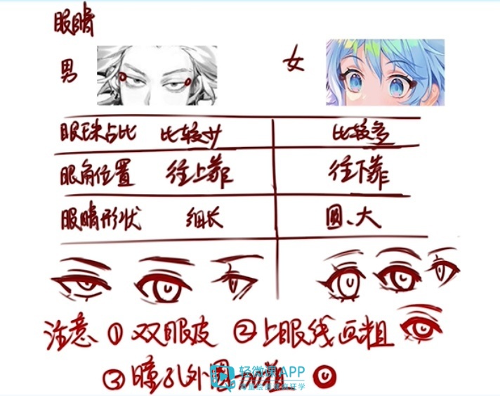 动漫人物绘画简单漂亮女孩的眼睛,动漫人物眼睛绘画零基础入门教程