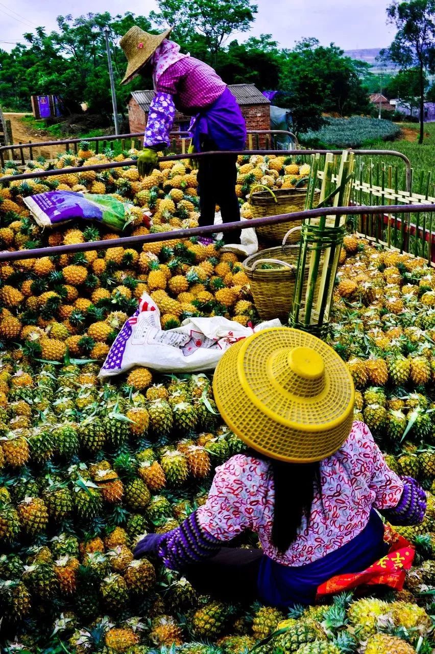距海南20km有片处女地，比台湾风情比三亚便宜，路过都错过了