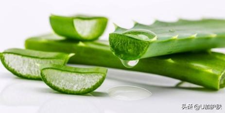 芦荟的十大功效及用法,芦荟的多种功效
