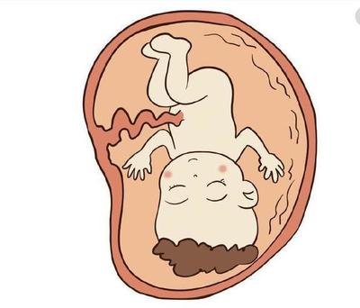 为什么孕晚期容易累,孕晚期29周稍微走点路都气喘吁吁