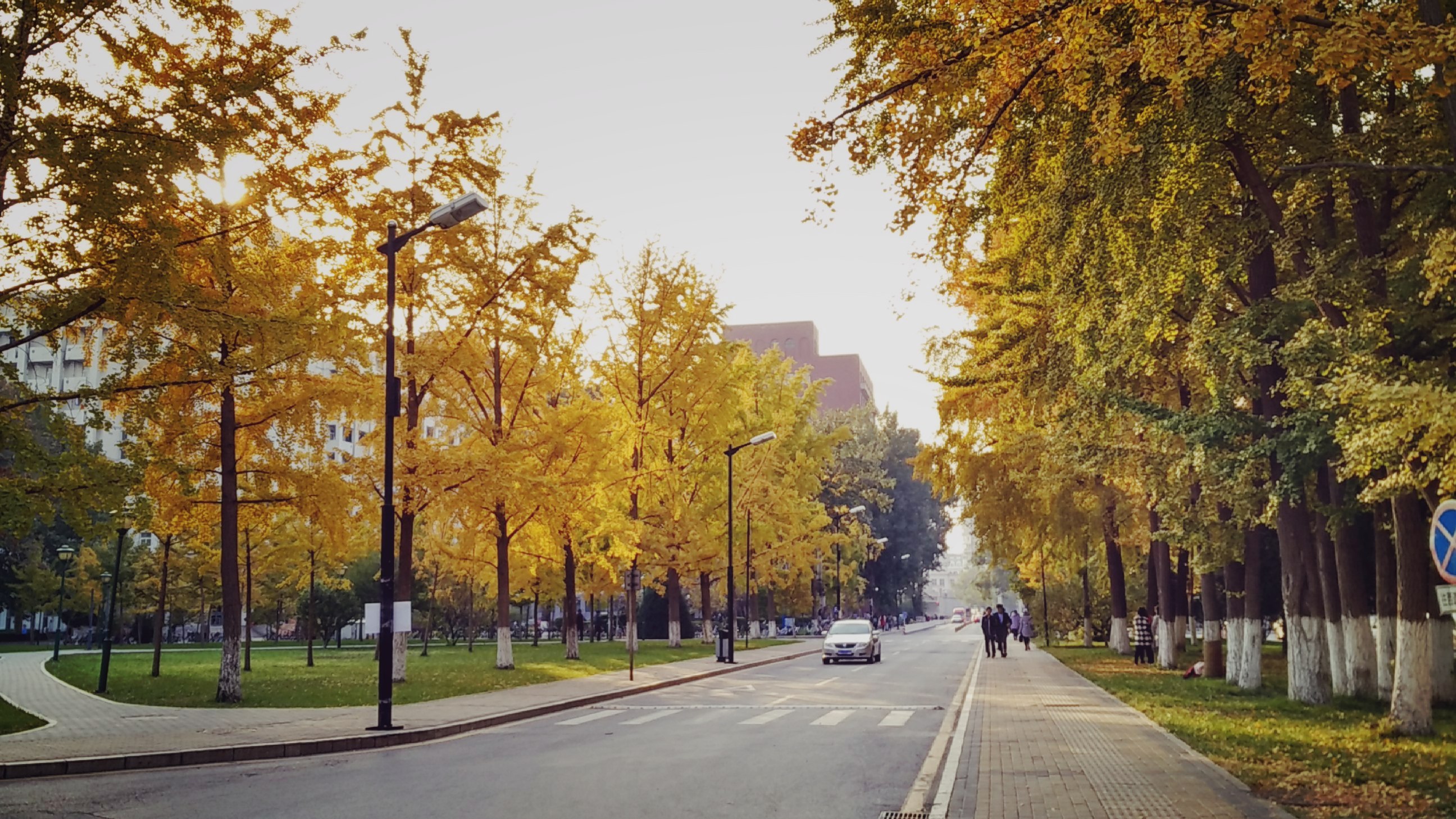 未经允许在网上曝光店铺信息,为商标侵权提供便利条件案例