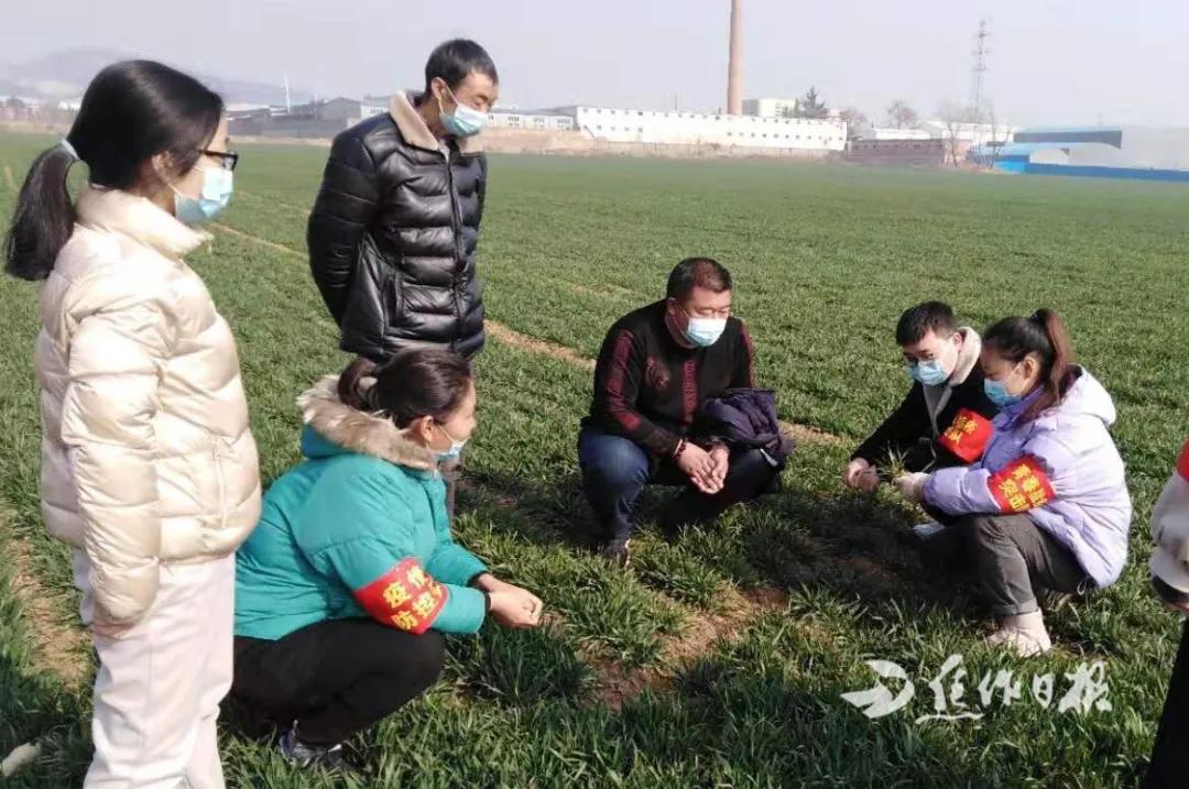 不能少!都要赢!焦作马村区安阳城街道交卷了!