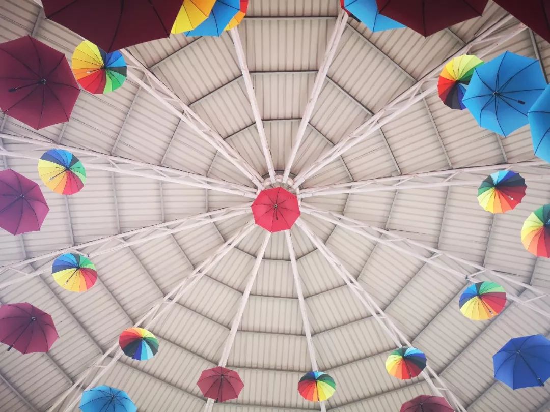 昨日重现2019完整版,昨日重现新加坡