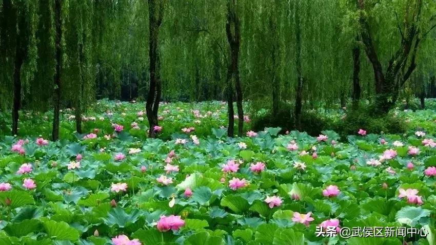 成都地铁2号线沿途景点,成都地铁三号线沿途有哪些景点