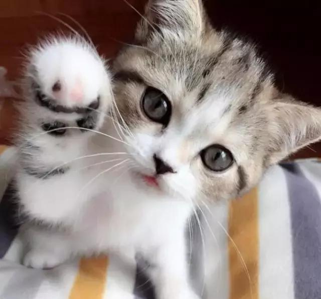 一周评测全纪录,一周测评