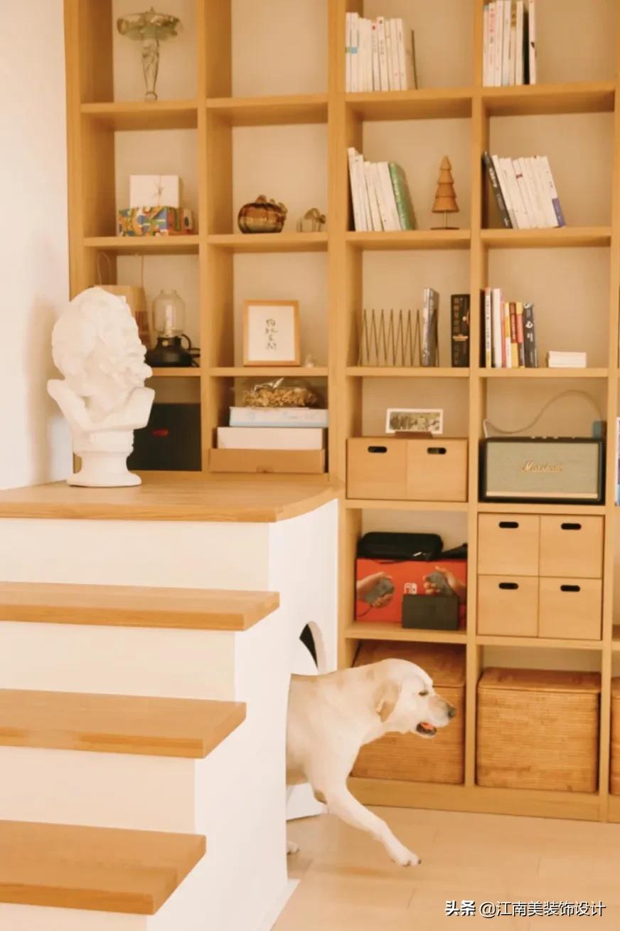 没有阳台的房子养宠物怎么装修,家里养宠物该怎么装修