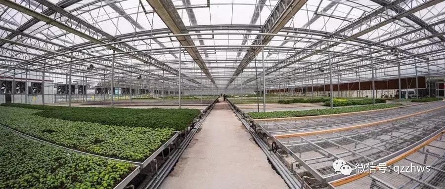 个体农户种大棚能拿补贴吗,农村养殖大棚如何申请补贴