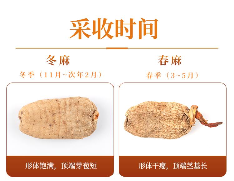 安徽道地药材天麻,天麻的道地药材