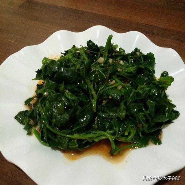 补贫血野菜有哪些,青青菜野菜能补血吗