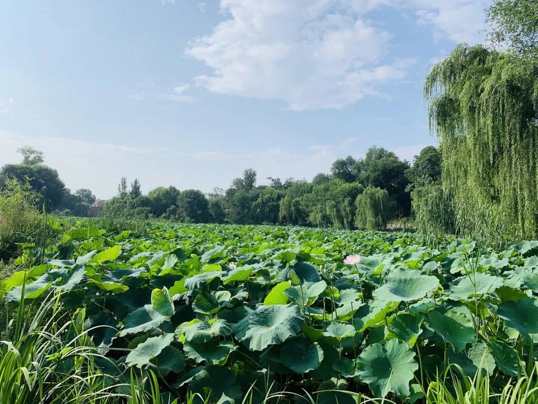 陕西丹凤葡萄酒厂西安总经销,渭南丹凤葡萄酒厂新闻报道