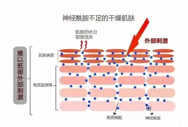 科颜氏高保湿面霜能修复屏障受损,科颜氏高保湿面霜搓泥是怎么回事