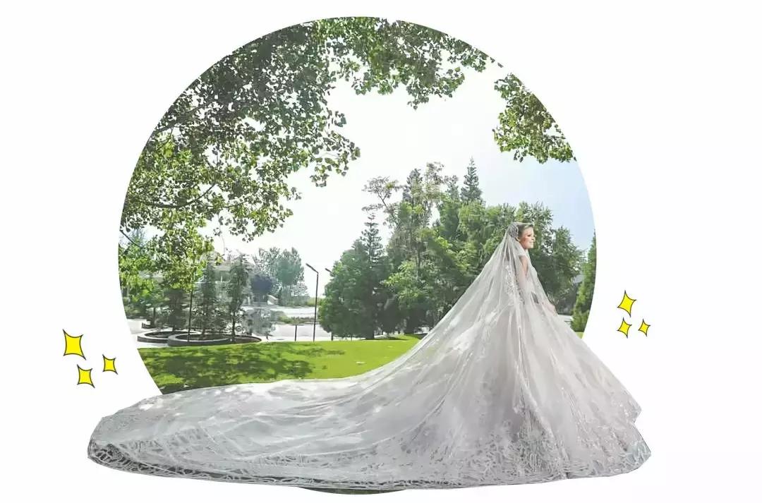 15万颗施华洛世奇水晶,eliesaab婚纱