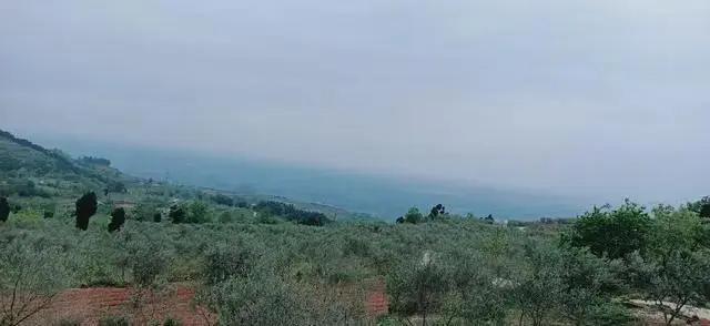 成都金堂橄榄小镇最新规划,金堂橄榄小镇在哪里