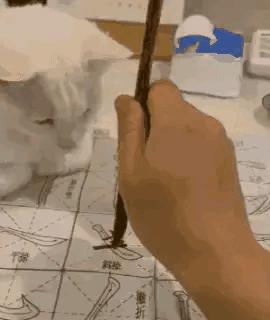 把车标全部抠掉违法吗,把车标抠下来清灰